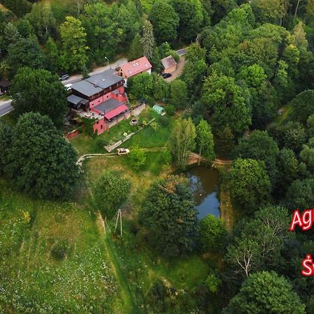 Agroturystyka Pod Swierkiem Srebrna Gora Exterior photo